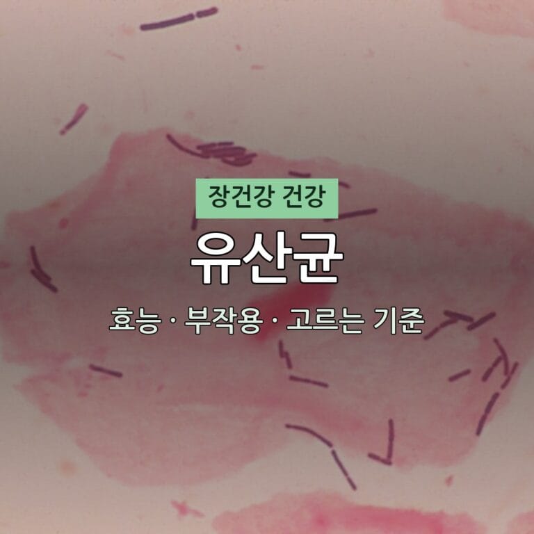 유산균 효능 부작용 장건강 영양제 무엇이든 물어보세요