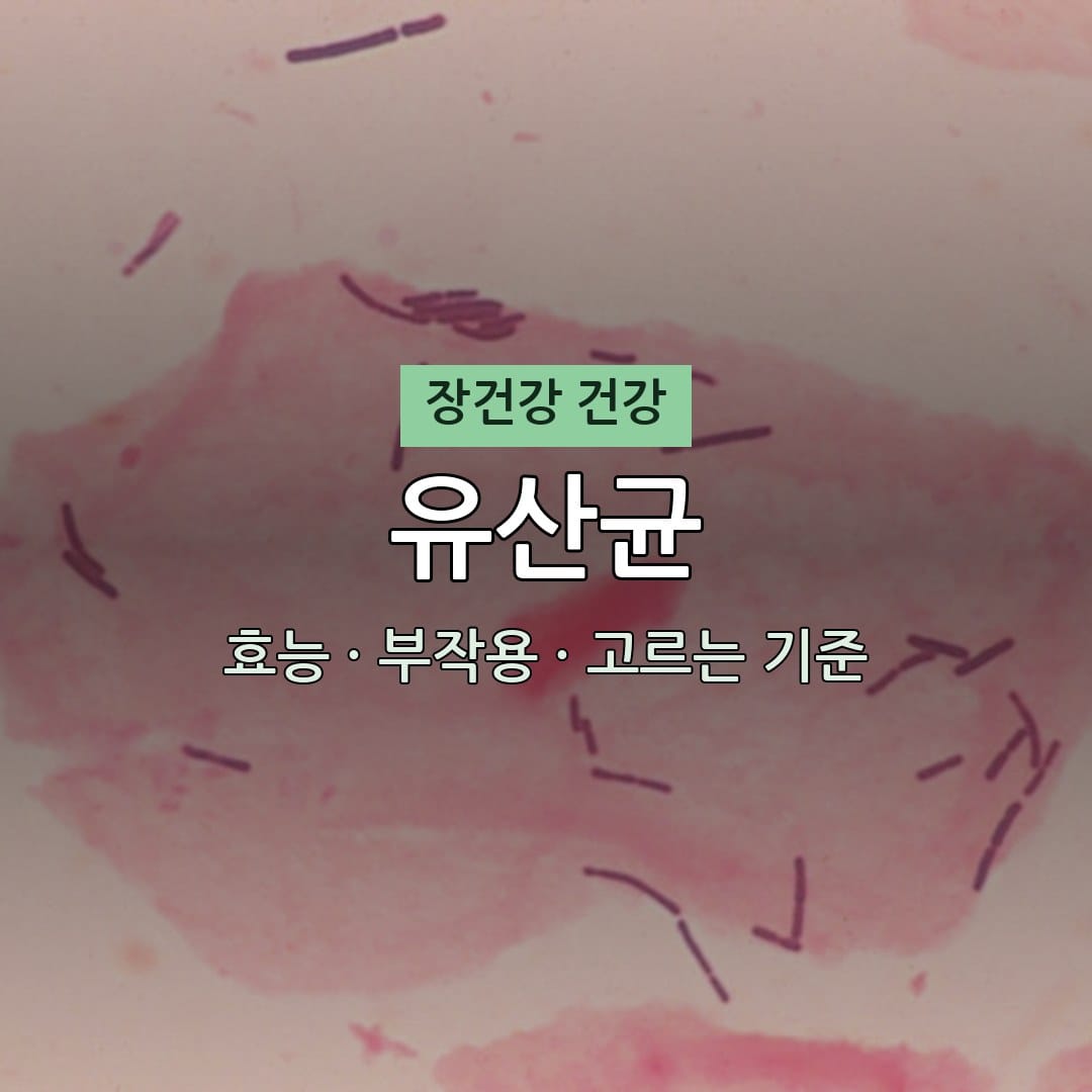 무엇이든 물어보세요 "유산균 먹어도 효과 없는 이유" 장 건강 높이는 고르는 법 1 유산균 효능 부작용 장건강 영양제 무엇이든 물어보세요