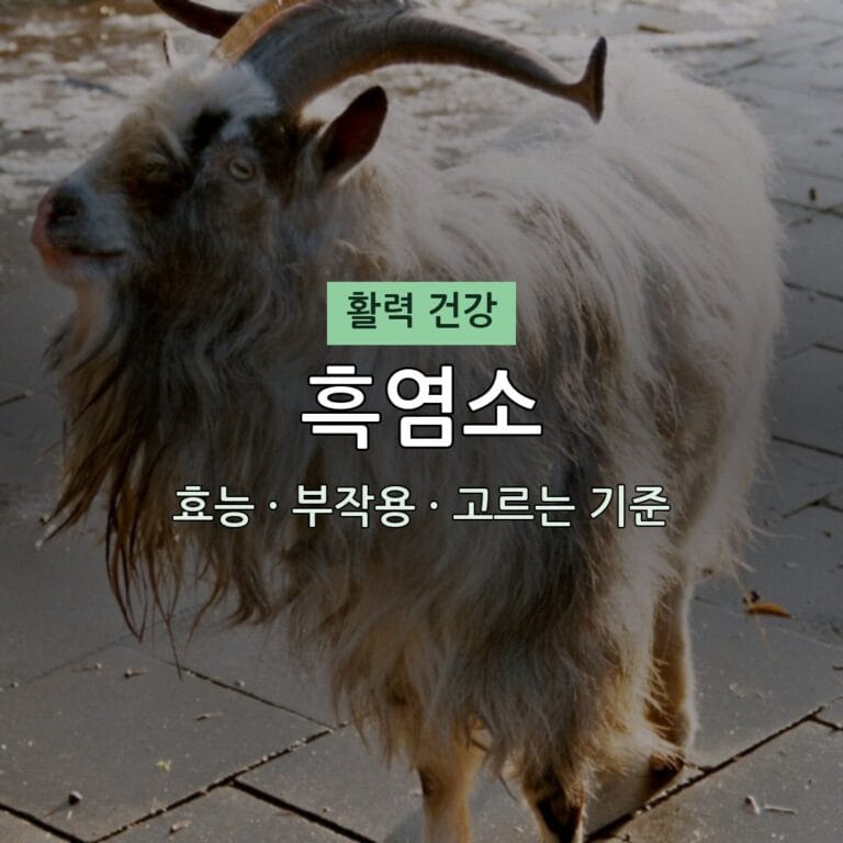 흑염소 효능 부작용 활력 영양제 무엇이든 물어보세요