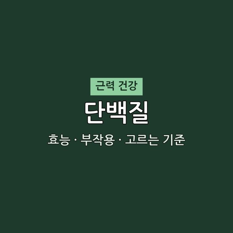 단백질 효능 부작용 근력 영양제 무엇이든 물어보세요