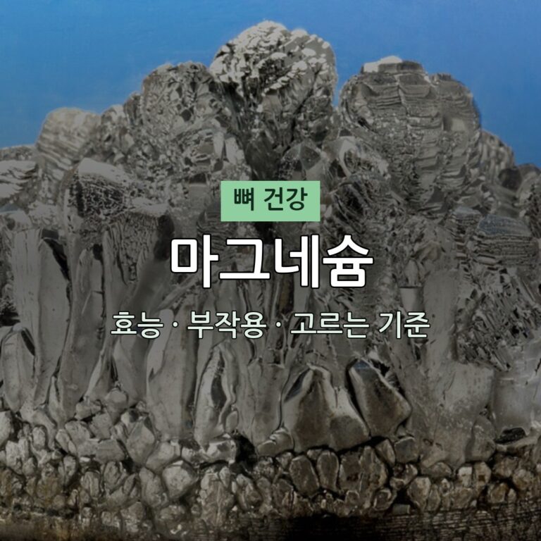 마그네슘 효능 부작용 뼈 영양제 무엇이든 물어보세요