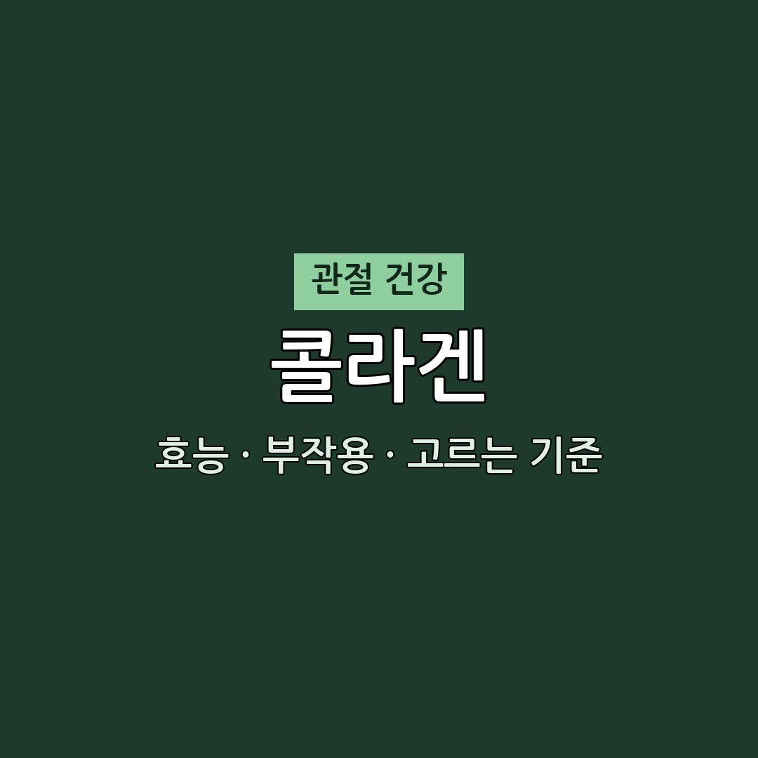 2026 콜라겐 추천 전 필독 | 효능·부작용·함량 체크 (천기누설 방송) 1 콜라겐 효능 부작용 관절 영양제 천기누설