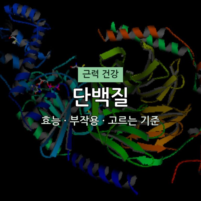 단백질 효능 부작용 근력 영양제 무엇이든 물어보세요