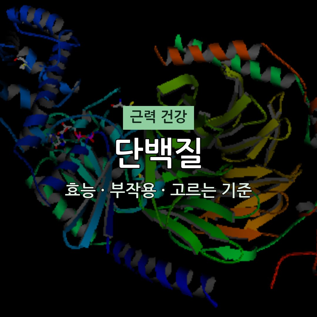 단백질 효능 부작용 근력 영양제 무엇이든 물어보세요